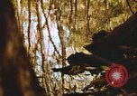 Standbild Die Great Dismal Swamp United States USA, 1974, aus Sekunde 31 historischem Filmmaterial Videoclip 65675021550