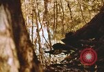 Standbild Die Great Dismal Swamp United States USA, 1974, aus Sekunde 34 historischem Filmmaterial Videoclip 65675021550