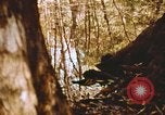 Standbild Die Great Dismal Swamp United States USA, 1974, aus Sekunde 35 historischem Filmmaterial Videoclip 65675021550