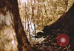 Standbild Die Great Dismal Swamp United States USA, 1974, aus Sekunde 36 historischem Filmmaterial Videoclip 65675021550