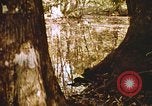 Standbild Die Great Dismal Swamp United States USA, 1974, aus Sekunde 40 historischem Filmmaterial Videoclip 65675021550