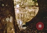 Standbild Die Great Dismal Swamp United States USA, 1974, aus Sekunde 41 historischem Filmmaterial Videoclip 65675021550