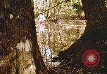 Standbild Die Great Dismal Swamp United States USA, 1974, aus Sekunde 42 historischem Filmmaterial Videoclip 65675021550