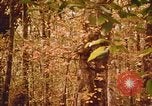 Standbild Die Great Dismal Swamp United States USA, 1974, aus Sekunde 45 historischem Filmmaterial Videoclip 65675021550