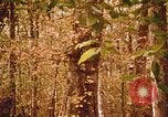 Standbild Die Great Dismal Swamp United States USA, 1974, aus Sekunde 46 historischem Filmmaterial Videoclip 65675021550