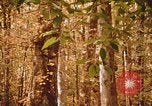Standbild Die Great Dismal Swamp United States USA, 1974, aus Sekunde 48 historischem Filmmaterial Videoclip 65675021550