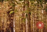 Standbild Die Great Dismal Swamp United States USA, 1974, aus Sekunde 49 historischem Filmmaterial Videoclip 65675021550