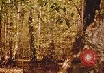 Standbild Die Great Dismal Swamp United States USA, 1974, aus Sekunde 57 historischem Filmmaterial Videoclip 65675021550