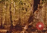 Standbild Die Great Dismal Swamp United States USA, 1974, aus Sekunde 58 historischem Filmmaterial Videoclip 65675021550