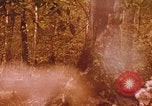 Standbild Die Great Dismal Swamp United States USA, 1974, aus Sekunde 59 historischem Filmmaterial Videoclip 65675021550