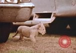 Standbild Miller Johnson Zirkus in den Vereinigten Staaten United States USA, 1974, aus Sekunde 44 historischem Filmmaterial Videoclip 65675021552