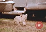Standbild Miller Johnson Zirkus in den Vereinigten Staaten United States USA, 1974, aus Sekunde 45 historischem Filmmaterial Videoclip 65675021552