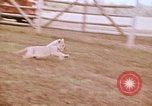 Standbild Miller Johnson Zirkus in den Vereinigten Staaten United States USA, 1974, aus Sekunde 47 historischem Filmmaterial Videoclip 65675021552