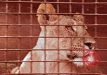 Standbild Miller Johnson Zirkus in den Vereinigten Staaten United States USA, 1974, aus Sekunde 54 historischem Filmmaterial Videoclip 65675021552