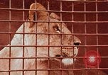Standbild Miller Johnson Zirkus in den Vereinigten Staaten United States USA, 1974, aus Sekunde 56 historischem Filmmaterial Videoclip 65675021552