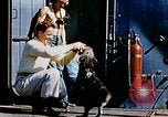 Image of food and medical services aboard USS Yorktown World War 2 Pacific Ocean, 1943, second 24 stock footage video 65675021555