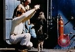 Image of food and medical services aboard USS Yorktown World War 2 Pacific Ocean, 1943, second 25 stock footage video 65675021555