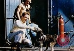 Image of food and medical services aboard USS Yorktown World War 2 Pacific Ocean, 1943, second 27 stock footage video 65675021555
