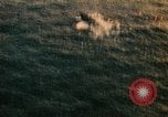 Immagine di Feriti US Navy piloti di atterraggio sulla USS Yorktown seconda guerra mondiale Truk Isole Caroline, 1944, secondo 43 filmato di repertorio 65675021561