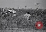 Image American Negro agriculteurs de grande Dépression United States USA, 1939, de la seconde 31 séquences d'archives historiques vidéo 65675021569