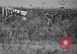 Image American Negro agriculteurs de grande Dépression United States USA, 1939, de la seconde 32 séquences d'archives historiques vidéo 65675021569