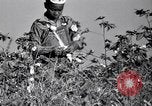 Image American Negro agriculteurs de grande Dépression United States USA, 1939, de la seconde 54 séquences d'archives historiques vidéo 65675021569