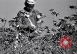 Image American Negro agriculteurs de grande Dépression United States USA, 1939, de la seconde 55 séquences d'archives historiques vidéo 65675021569