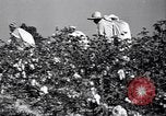 Image American Negro agriculteurs de grande Dépression United States USA, 1939, de la seconde 56 séquences d'archives historiques vidéo 65675021569