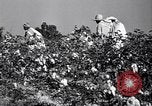 Image American Negro agriculteurs de grande Dépression United States USA, 1939, de la seconde 57 séquences d'archives historiques vidéo 65675021569