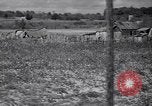 Image American Negro agriculteurs de grande Dépression United States USA, 1939, de la seconde 60 séquences d'archives historiques vidéo 65675021569