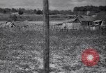 Image American Negro agriculteurs de grande Dépression United States USA, 1939, de la seconde 61 séquences d'archives historiques vidéo 65675021569