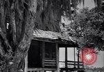 Standbild Gabeln von Cypress Plantation House und Nebengebäude ca 1940 Florence Alabama USA, 1939, aus Sekunde 4 historischem Filmmaterial Videoclip 65675021571