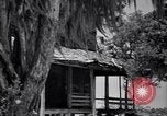 Standbild Gabeln von Cypress Plantation House und Nebengebäude ca 1940 Florence Alabama USA, 1939, aus Sekunde 5 historischem Filmmaterial Videoclip 65675021571