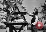 Standbild Gabeln von Cypress Plantation House und Nebengebäude ca 1940 Florence Alabama USA, 1939, aus Sekunde 40 historischem Filmmaterial Videoclip 65675021571