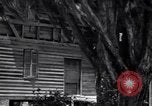 Standbild Gabeln von Cypress Plantation House und Nebengebäude ca 1940 Florence Alabama USA, 1939, aus Sekunde 59 historischem Filmmaterial Videoclip 65675021571