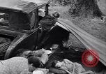 Standbild der US-Landwirtschaft United States USA, 1939, aus Sekunde 3 historischem Filmmaterial Videoclip 65675021573