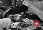 Standbild der US-Landwirtschaft United States USA, 1939, aus Sekunde 5 historischem Filmmaterial Videoclip 65675021573