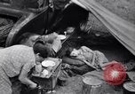 Standbild der US-Landwirtschaft United States USA, 1939, aus Sekunde 6 historischem Filmmaterial Videoclip 65675021573