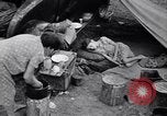 Standbild der US-Landwirtschaft United States USA, 1939, aus Sekunde 8 historischem Filmmaterial Videoclip 65675021573