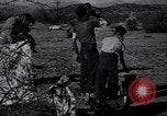 Standbild der US-Landwirtschaft United States USA, 1939, aus Sekunde 19 historischem Filmmaterial Videoclip 65675021573