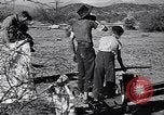 Standbild der US-Landwirtschaft United States USA, 1939, aus Sekunde 20 historischem Filmmaterial Videoclip 65675021573