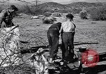 Standbild der US-Landwirtschaft United States USA, 1939, aus Sekunde 21 historischem Filmmaterial Videoclip 65675021573