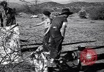 Standbild der US-Landwirtschaft United States USA, 1939, aus Sekunde 22 historischem Filmmaterial Videoclip 65675021573