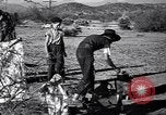 Standbild der US-Landwirtschaft United States USA, 1939, aus Sekunde 23 historischem Filmmaterial Videoclip 65675021573