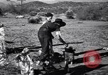Standbild der US-Landwirtschaft United States USA, 1939, aus Sekunde 24 historischem Filmmaterial Videoclip 65675021573