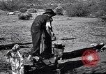 Standbild der US-Landwirtschaft United States USA, 1939, aus Sekunde 25 historischem Filmmaterial Videoclip 65675021573