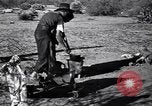 Standbild der US-Landwirtschaft United States USA, 1939, aus Sekunde 26 historischem Filmmaterial Videoclip 65675021573