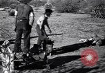 Standbild der US-Landwirtschaft United States USA, 1939, aus Sekunde 28 historischem Filmmaterial Videoclip 65675021573