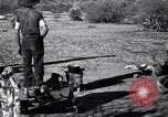 Standbild der US-Landwirtschaft United States USA, 1939, aus Sekunde 30 historischem Filmmaterial Videoclip 65675021573