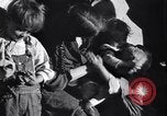 Standbild der US-Landwirtschaft United States USA, 1939, aus Sekunde 50 historischem Filmmaterial Videoclip 65675021573